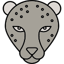 leopardo