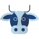 vaca