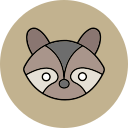 mapache icon