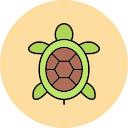 tortuga