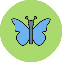 mariposa icon