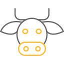 vaca