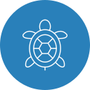 tortuga icon