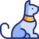 gato icon