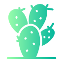 cactus icon