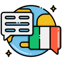 idioma icon