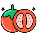 tomate icon