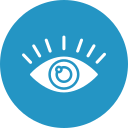 ojos icon