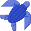 tortuga marina icon