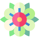 pasiflora icon