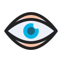 ojo icon