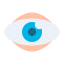 ojo icon