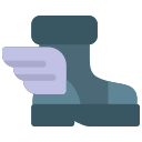 bota icon