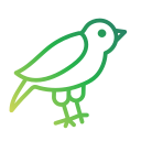 pájaro icon