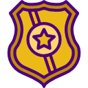 insignia icon