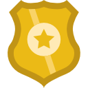 insignia icon