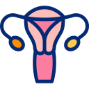 órgano reproductor femenino animated icon