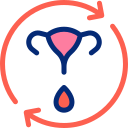 ciclo menstrual 