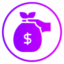 bolsa de dinero icon