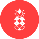 ananas icon