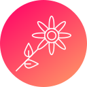 girasol icon