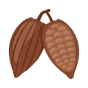 grano de cacao 