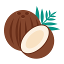 fruta de coco icon