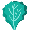 lechuga icon