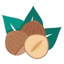 nueces icon