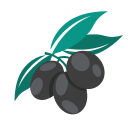 aceitunas icon