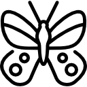 mariposa apolo icon