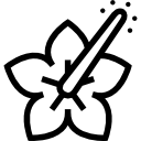 hibicus icon