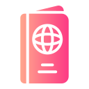 pasaporte icon