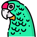 loro icon