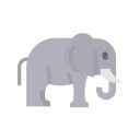 elefante