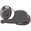 gato icon