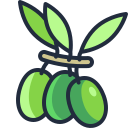 aceitunas icon