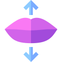 aumento de labios icon