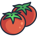 tomates icon