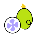 feijoa 