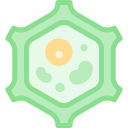 célula vegetal icon