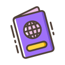 pasaporte icon