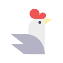 pollo 