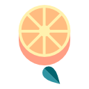 naranja