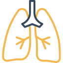 gesundheitspflege icon