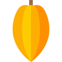 cacao icon