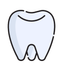 molar icon