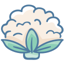 coliflor icon