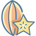 fruta estrella icon