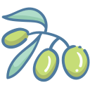 aceituna icon